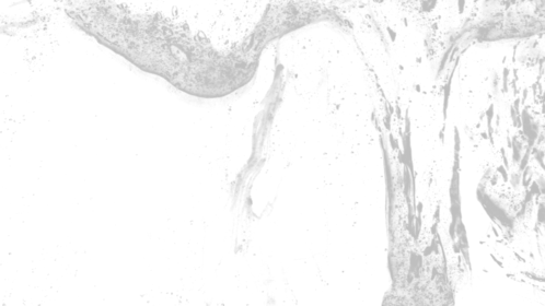 Slime Texture 2